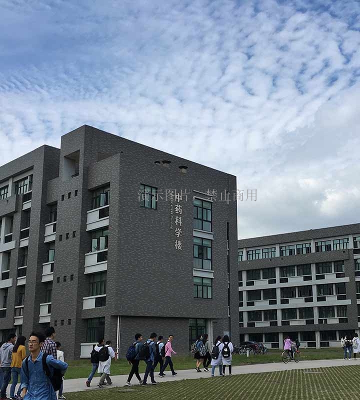 客戶案例展示